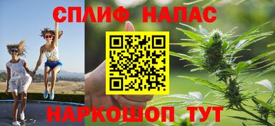 шишки Моздок