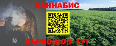 шишки Моздок