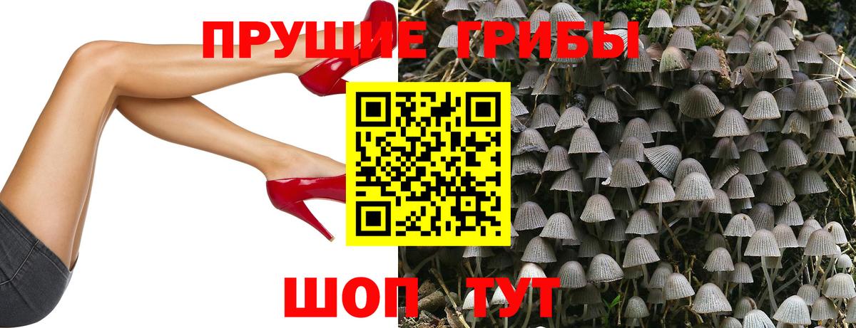 Псилоцибиновые грибы Cubensis  Галлюциногенные грибы Magic Shrooms  Вход с VPN  Фролово 